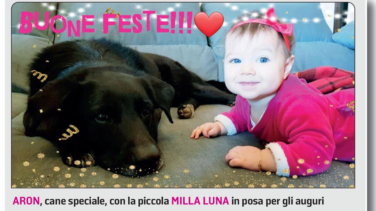 Le storie di Aron, Sofi e gli altri:quando adottare un cane al canile vuol dire aprire la porta all’amore