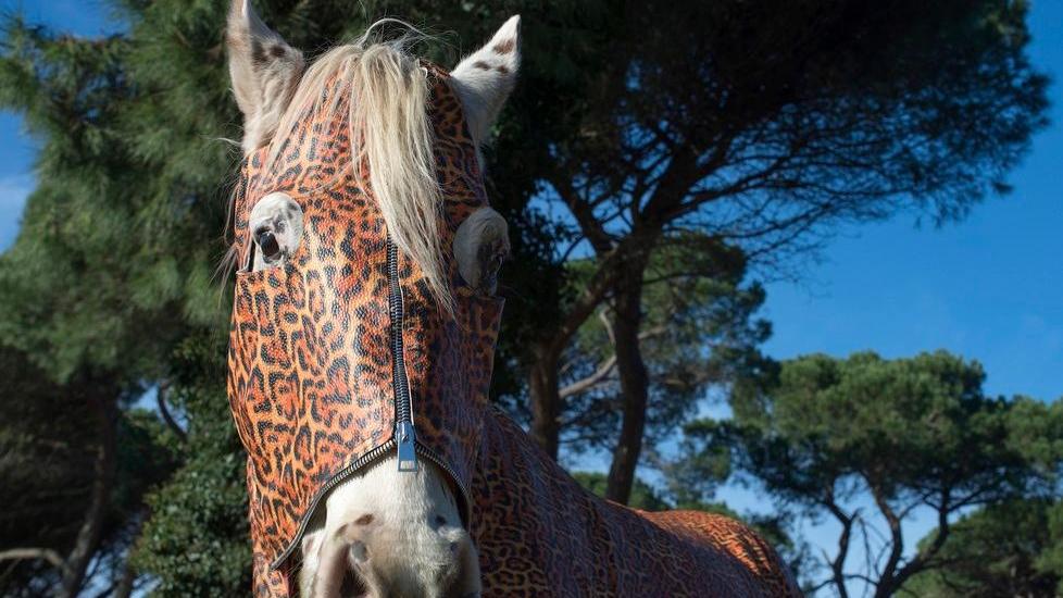 Se gli animali cambiano pelle fra ironia e spunti di riflessione
