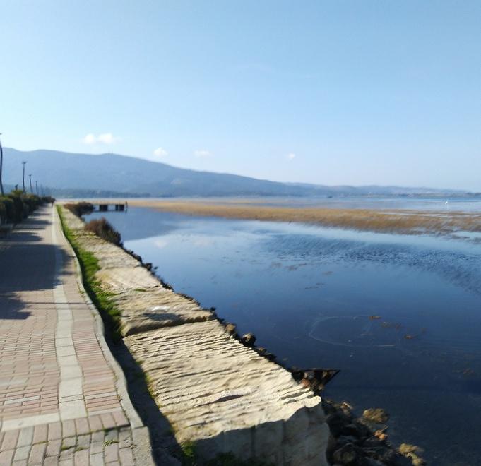 «Laguna, manca ancora una strategia di sviluppo» 