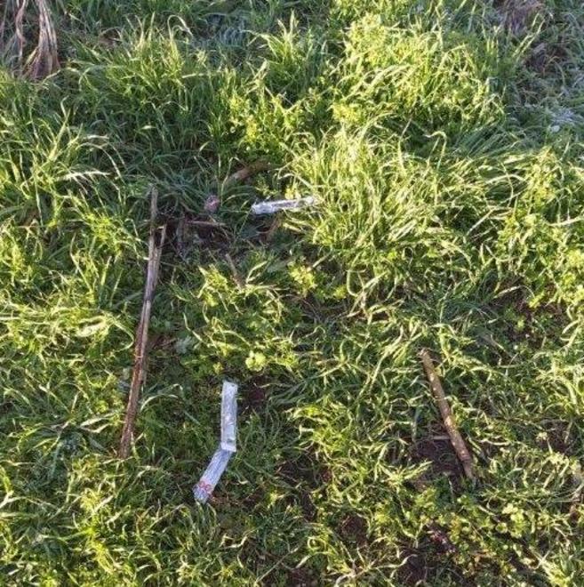 Allarme droga alla Ladronaia: altre siringhe trovate nel parco 