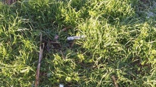 Allarme droga alla Ladronaia: altre siringhe trovate nel parco