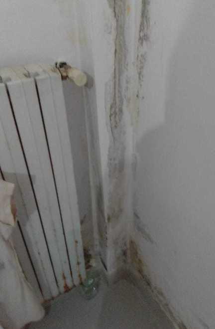 «Vogliamo uscire da questa casa» Umidità nei locali e la caldaia è guasta 
