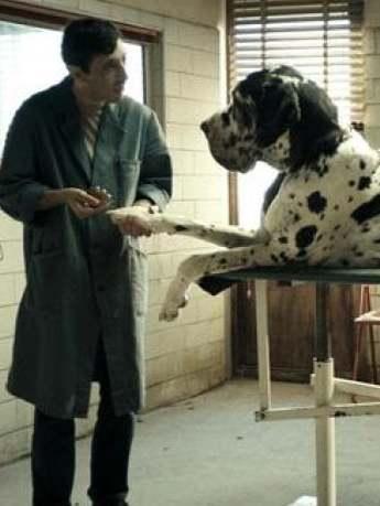 Cinema per ragazzi, ultimo giorno 