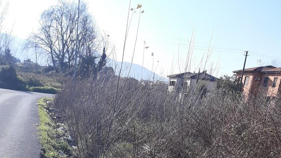 «Discarica in via delle Viette»