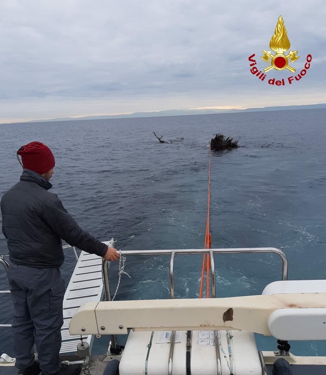 I vigili del fuoco pescano in mare un tronco lungo quindici metri 