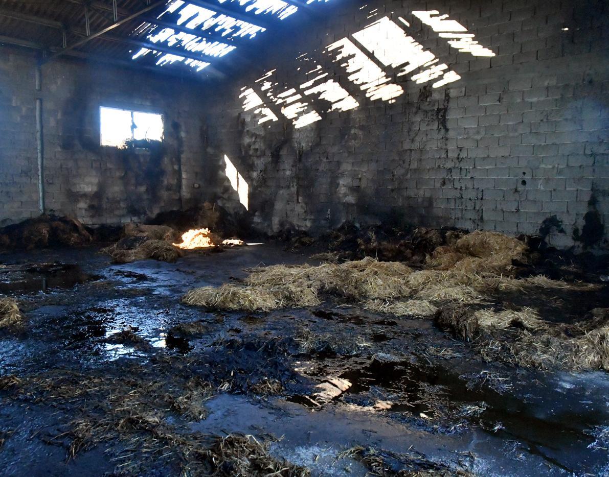 In paese pochi dubbi: è stato un attentato, non un atto vandalico