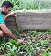 Braccia giovani per l’agricoltura: 20 nuove aziende aperte da under 40 