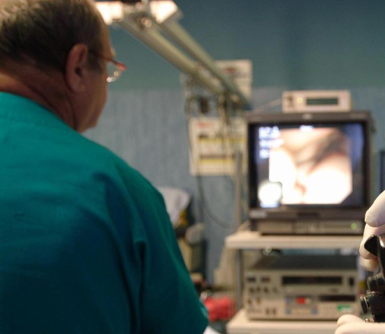 Bambina elbana di tredici anni curata in teleconsulto col Meyer 