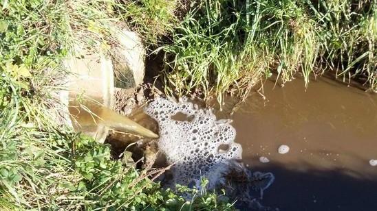 Liquami nel torrente Schiuma e miasmi