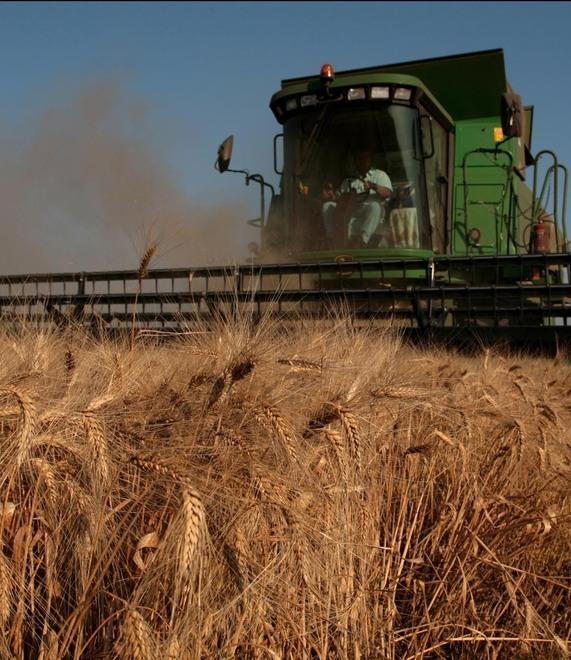Agricoltura biologica e biodiversità Quattro bandi regionali