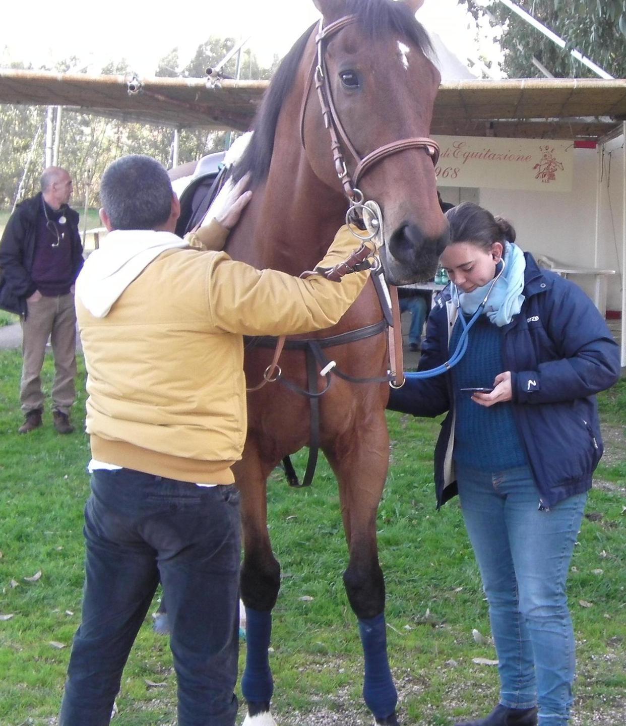 Slittano le visite veterinarie per la Sartiglia 