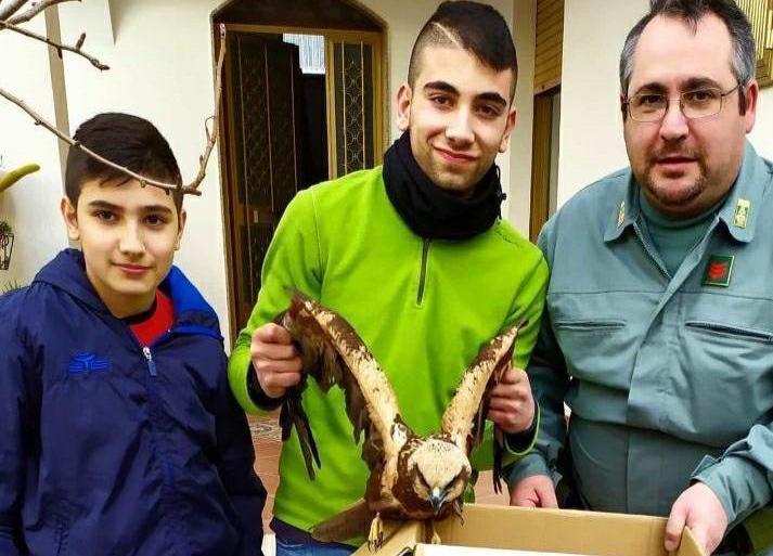 I fratelli Congiu salvano un’aquila