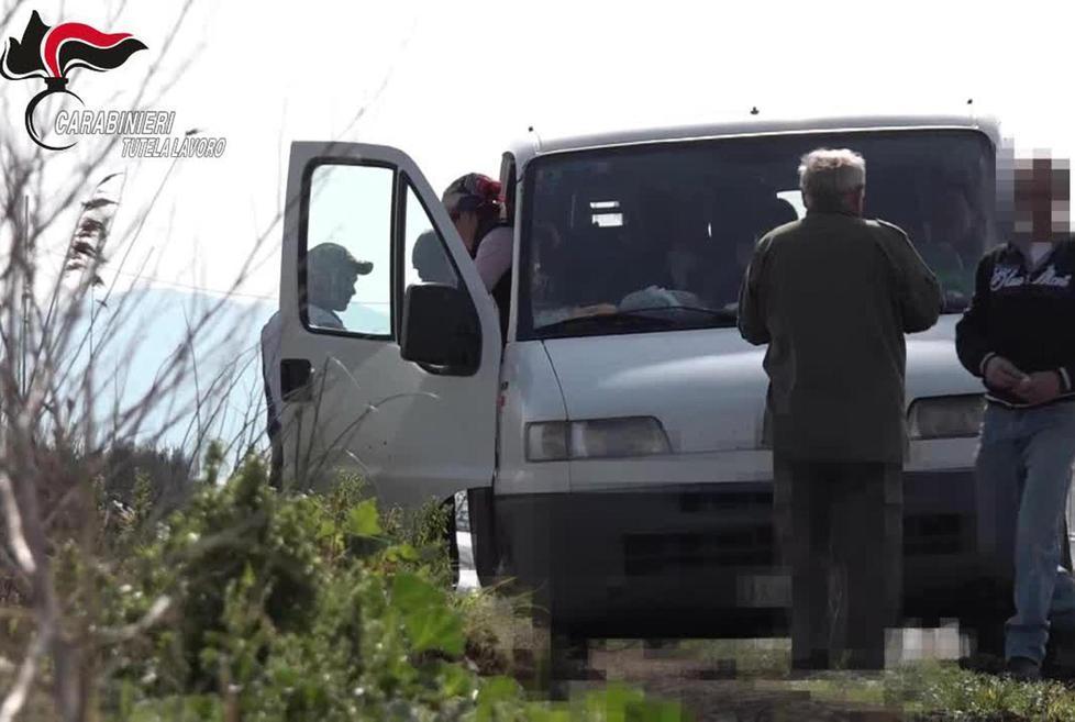 Braccianti sfruttati, crescono le denunce: l’illegalità danneggia le aziende in regola 