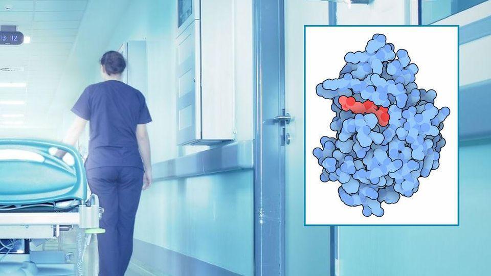 Superbatterio New Delhi, donna muore a 51 anni. Per due medici era influenza