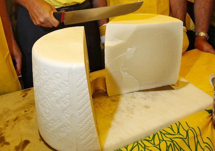 Pecorino solidale per aiutare i bambini delle case famiglia