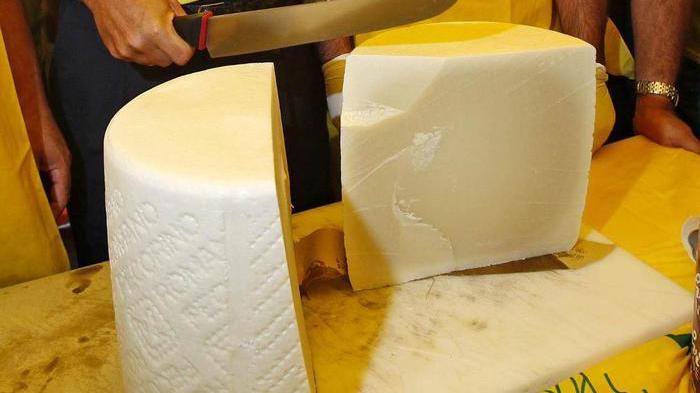 Pecorino solidale per aiutare i bambini delle case famiglia