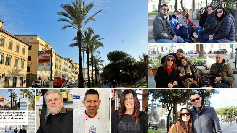 Le palme che verranno abbattute perché affette da punteruolo rosso ( Cecilia Foschi). In alto a dx, da sx Gregori, Risaliti, Cappelli , Sarti , Benvenuti, Mainardi. Sotto da sx Nerazzini, Sparacino, Ballarani e Griggio.In basso da sx Luca Candiano, Andrea La Bruna, Monica Ciabattari, Beatrice Tei e Christian Raffaelli