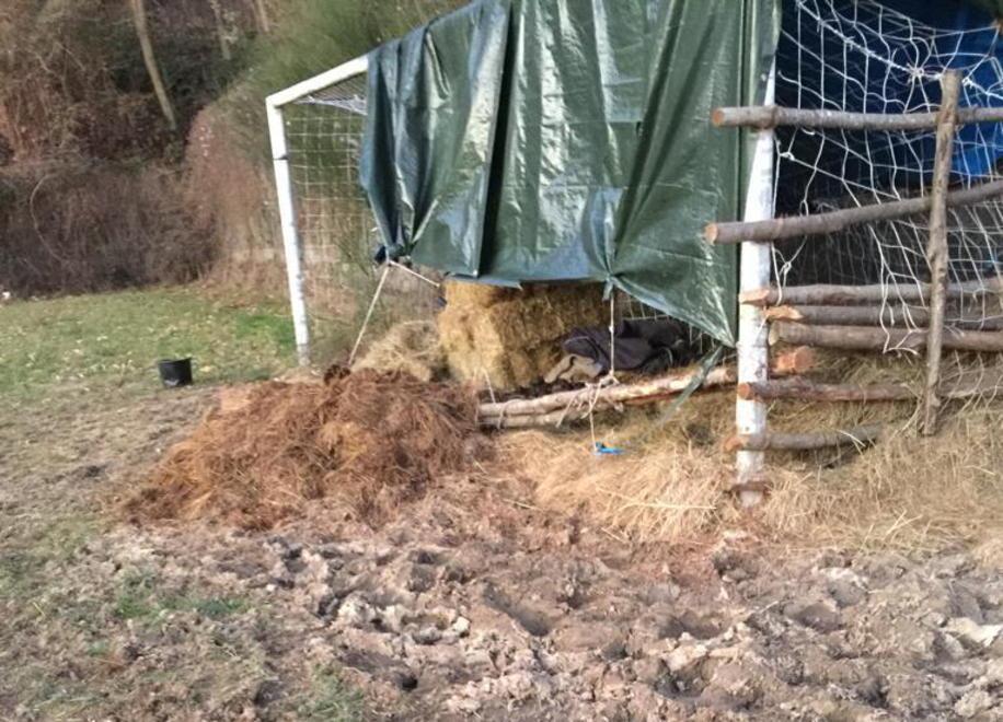 In degrado il campo sportivo di Succisa