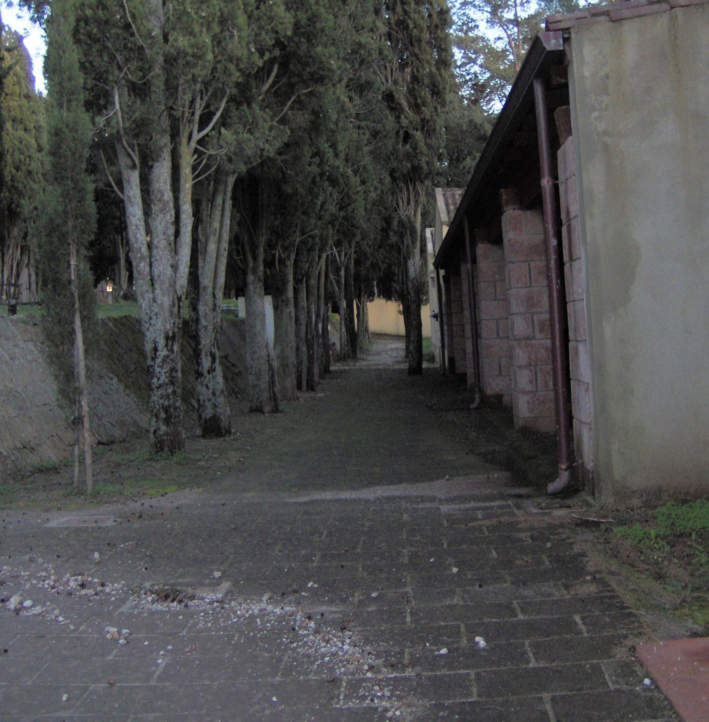 Cimitero, nessuna impresa vuole gestire l’appalto 