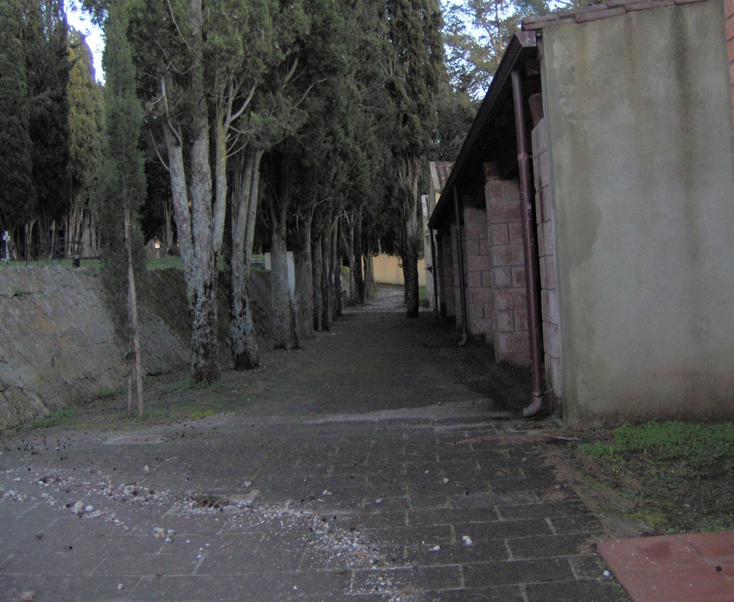 Alla larga dalle tombe, cimitero senza gestore 
