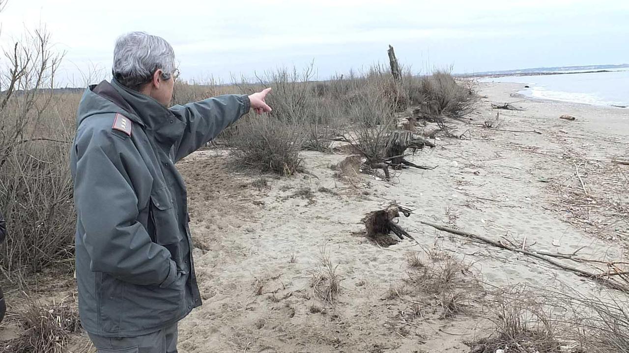 Il guardia parco Maurizio Guerrini mentre indica uno dei tratti più colpiti dal fenomeno dell’erosione durante la passeggiata con la giornalista Sabrina Chiellini e il fotografo del Tirreno, Fabio Muzzi