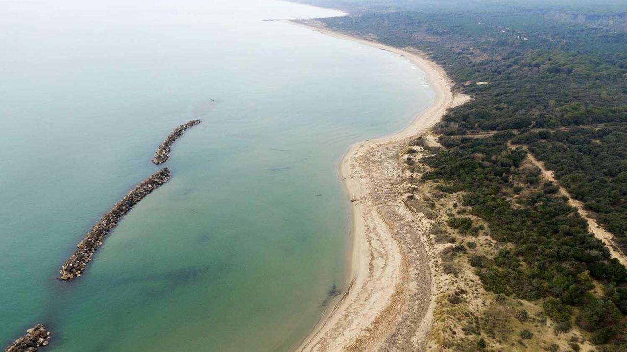 La spiaggia del Gombo dall'alto (Foto Fabio Muzzi)