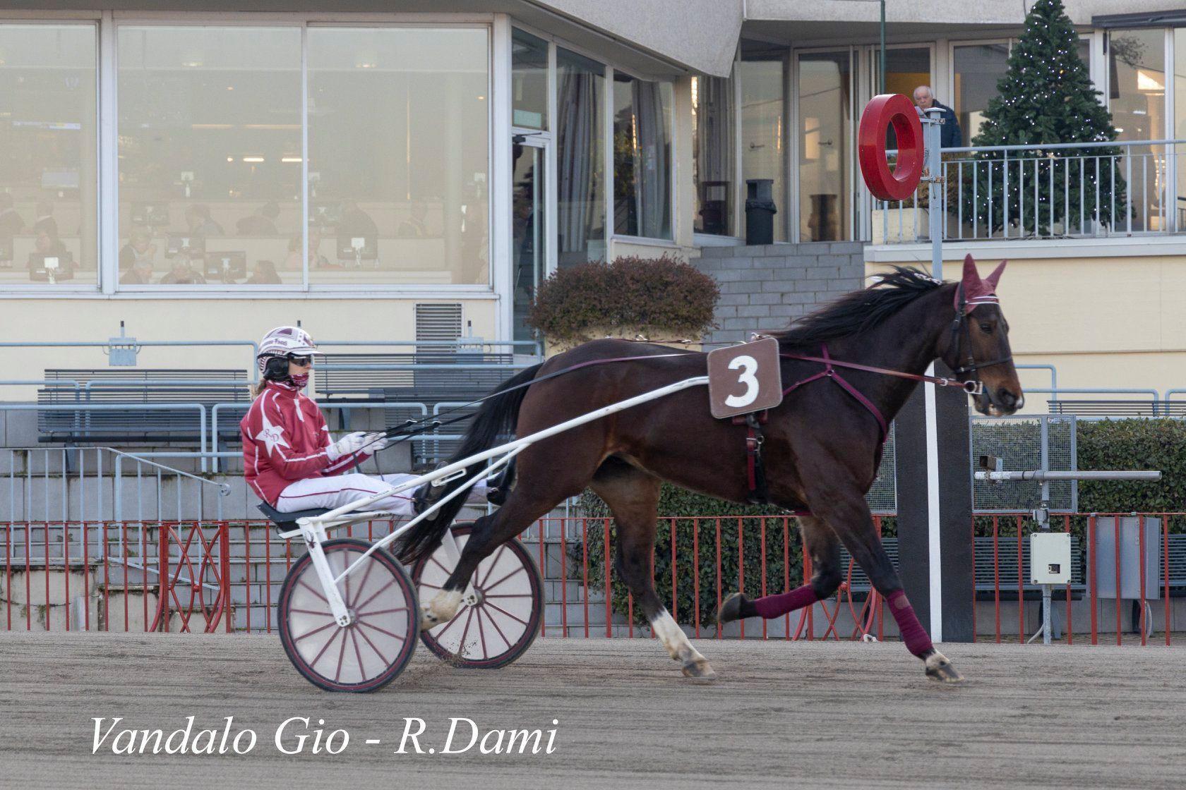 Il cavallo Vandalo Gio vincitore a Bologna