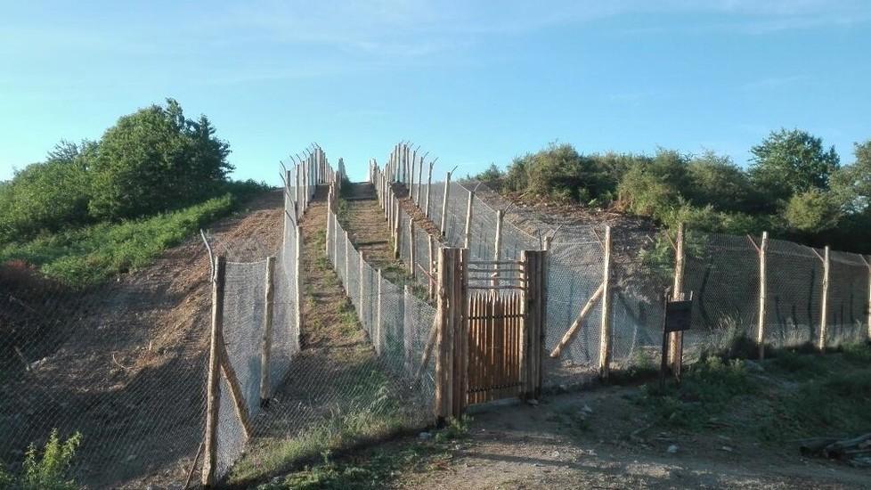 Parco Faunistico in abbandono, in 30 scrivono a Marini 