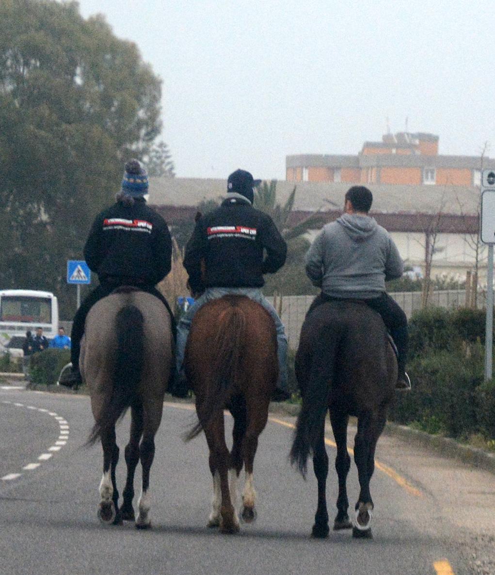 Pista e assicurazione, la Sartiglia non ha pace 