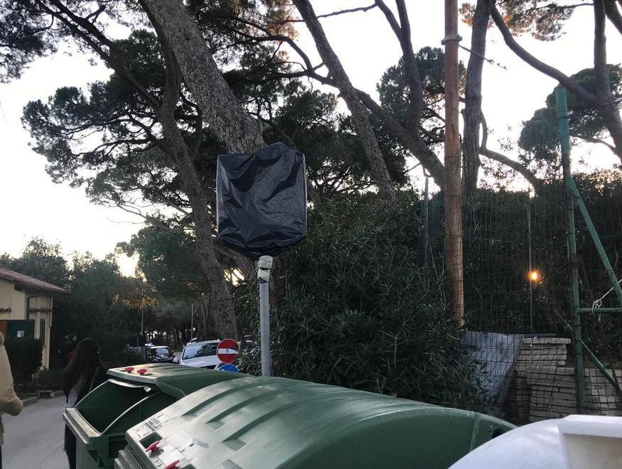 Ok del Comune alla sosta dentro la pineta Marradi 