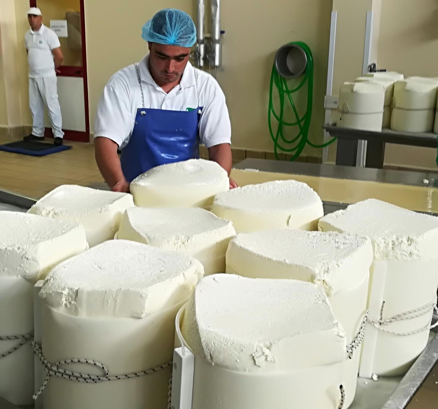 Il Consorzio dà il via libera a tre nuovi tipi di pecorino