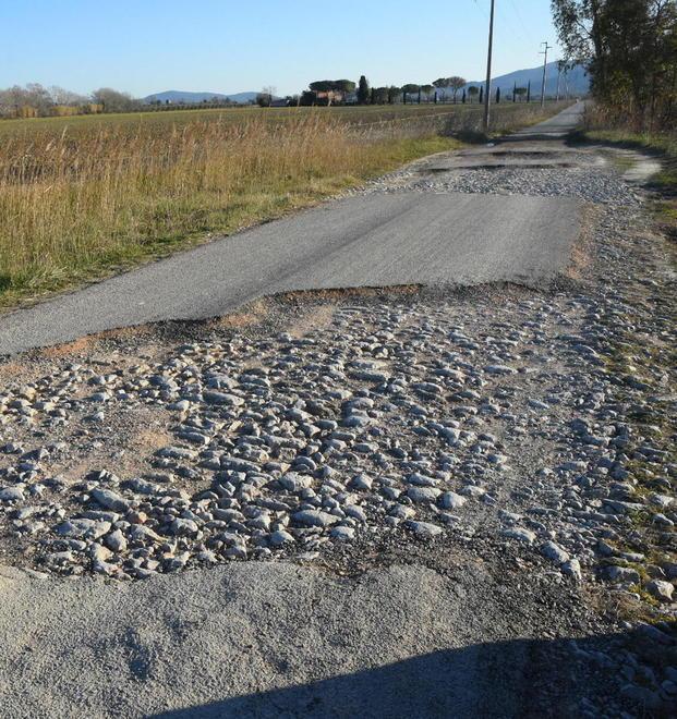 «Ciclabile devastata da piogge e ondate di piena»