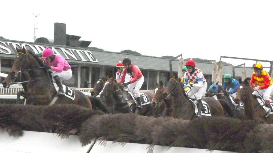 Ippica, sul prato degli Escoli tornano gli ostacoli