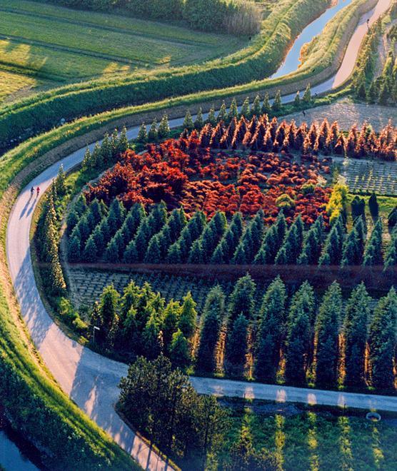 «Contro smog e polveri serve più verde urbano» 