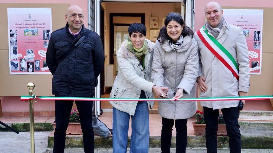 “Una cuccia nel bosco” per i cani in cerca di casa