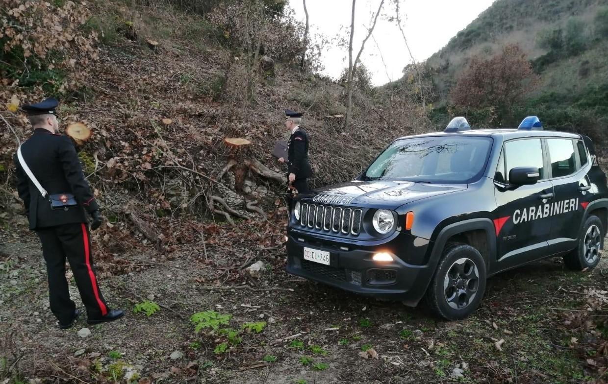 Rubano 160 quintali di legna, tre arresti a Ittiri 