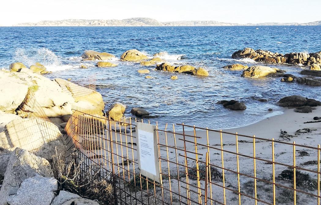 Albergo di Santa Teresa chiude la spiaggia per tener lontani i cinghiali 