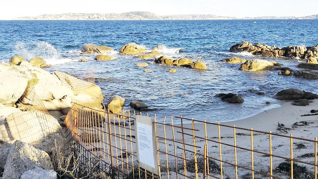 Albergo di Santa Teresa chiude la spiaggia per tener lontani i cinghiali 