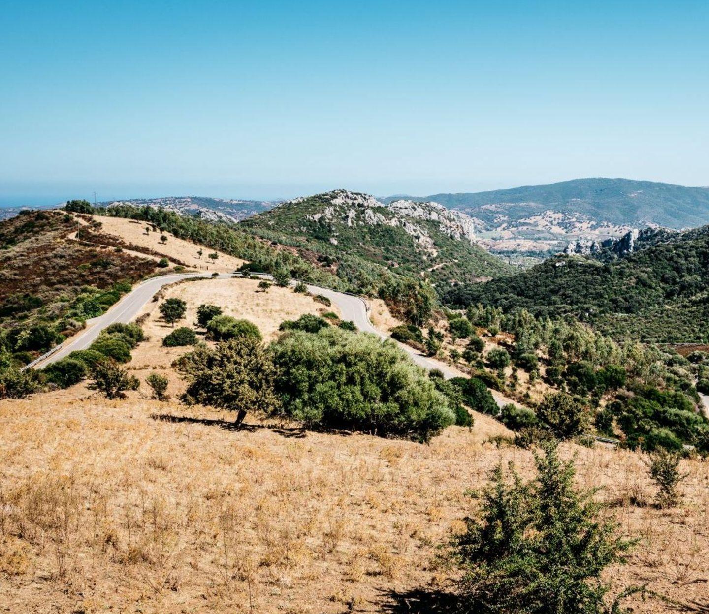Riaperta la strada Siniscola-Lodè 
