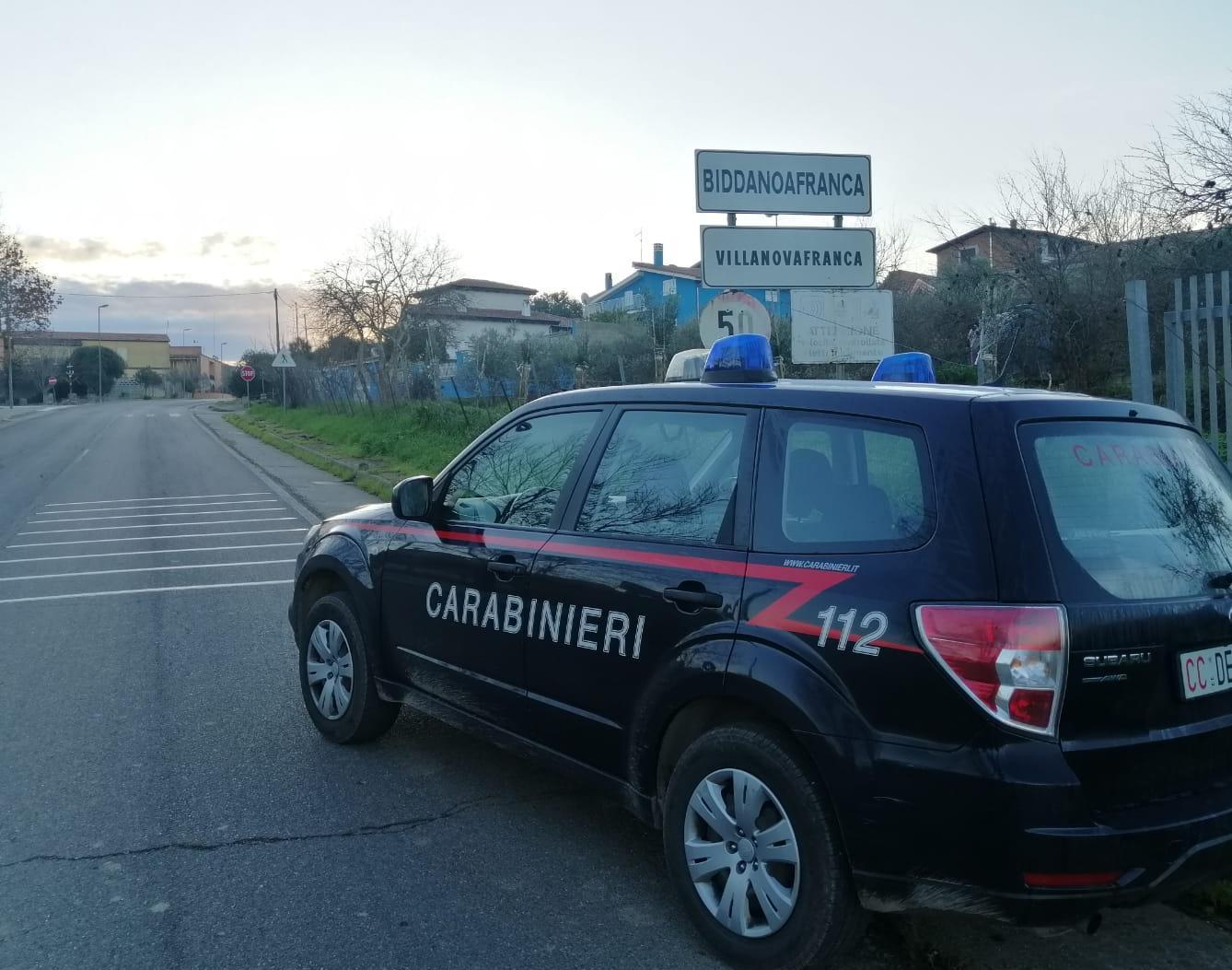 Barumini, veterinaria di turno si rifiuta di intervenire per tre cinghiali investiti: denunciata