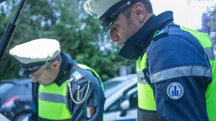 Adotta un cane, lo massacra e lo getta morente nel pattume