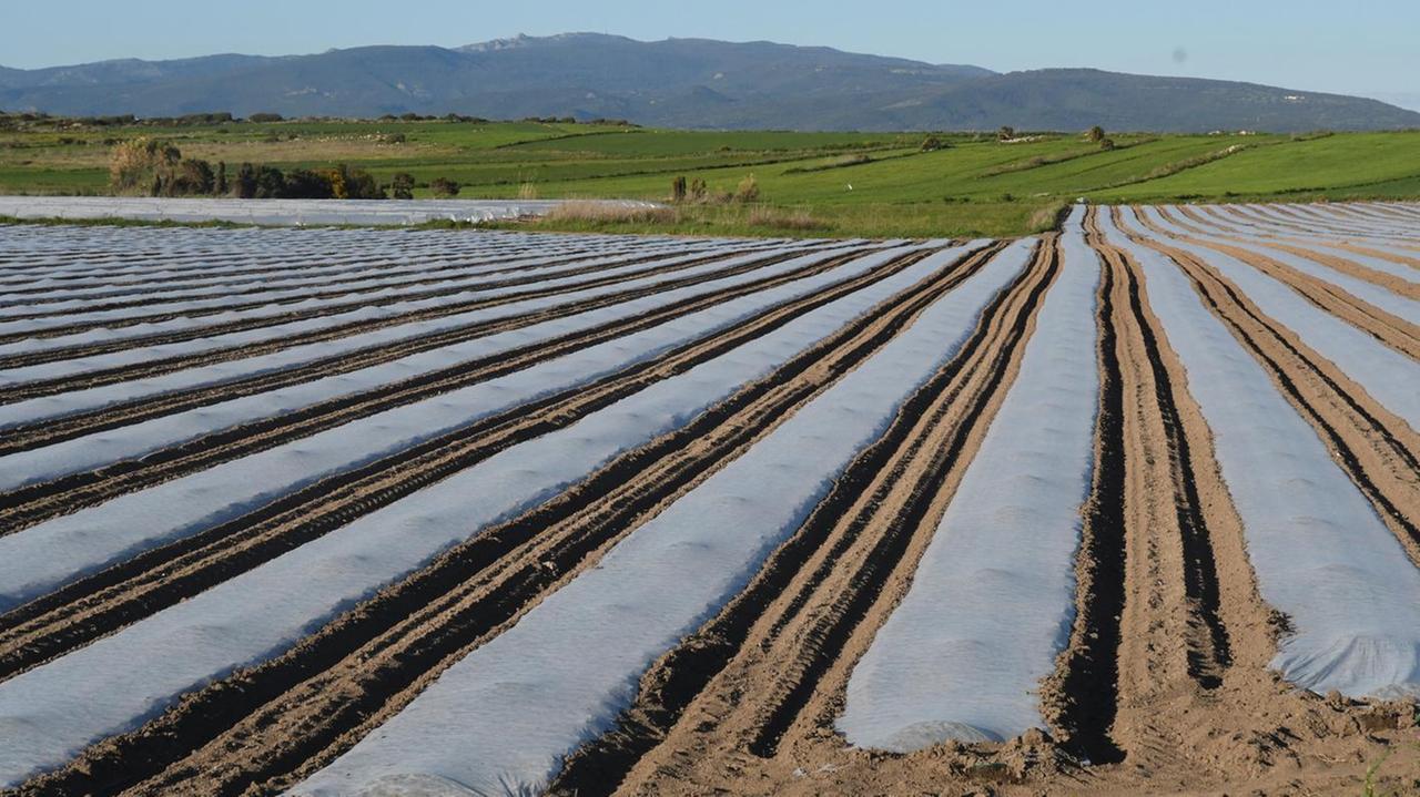 Stagione irrigua, possibile anticipo a marzo