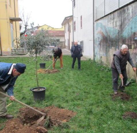 Festa degli Alberi, atto finale Gli scout piantano alberi 