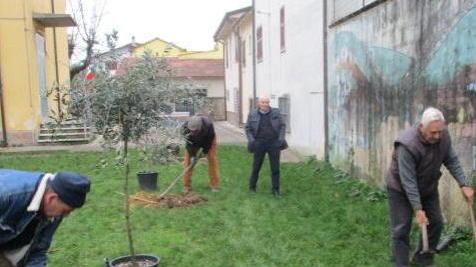 Festa degli Alberi, atto finale Gli scout piantano alberi