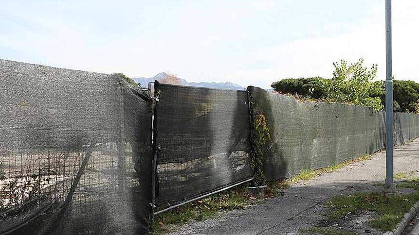 Sporco, radici e degrado Scatta l’Sos per i marciapiedi