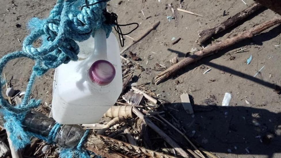 Le taniche di plastica e le foglie di palma usate come trappole