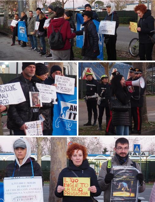 Striscioni, megafono e coro: «Fucecchio vieti il circo con gli animali» 