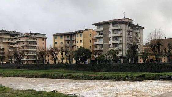 Lavori sulla sponda del fiume Pescia