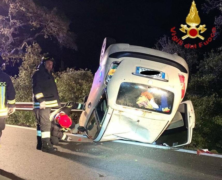 Volpe sulla carreggiata, donna fuori strada 