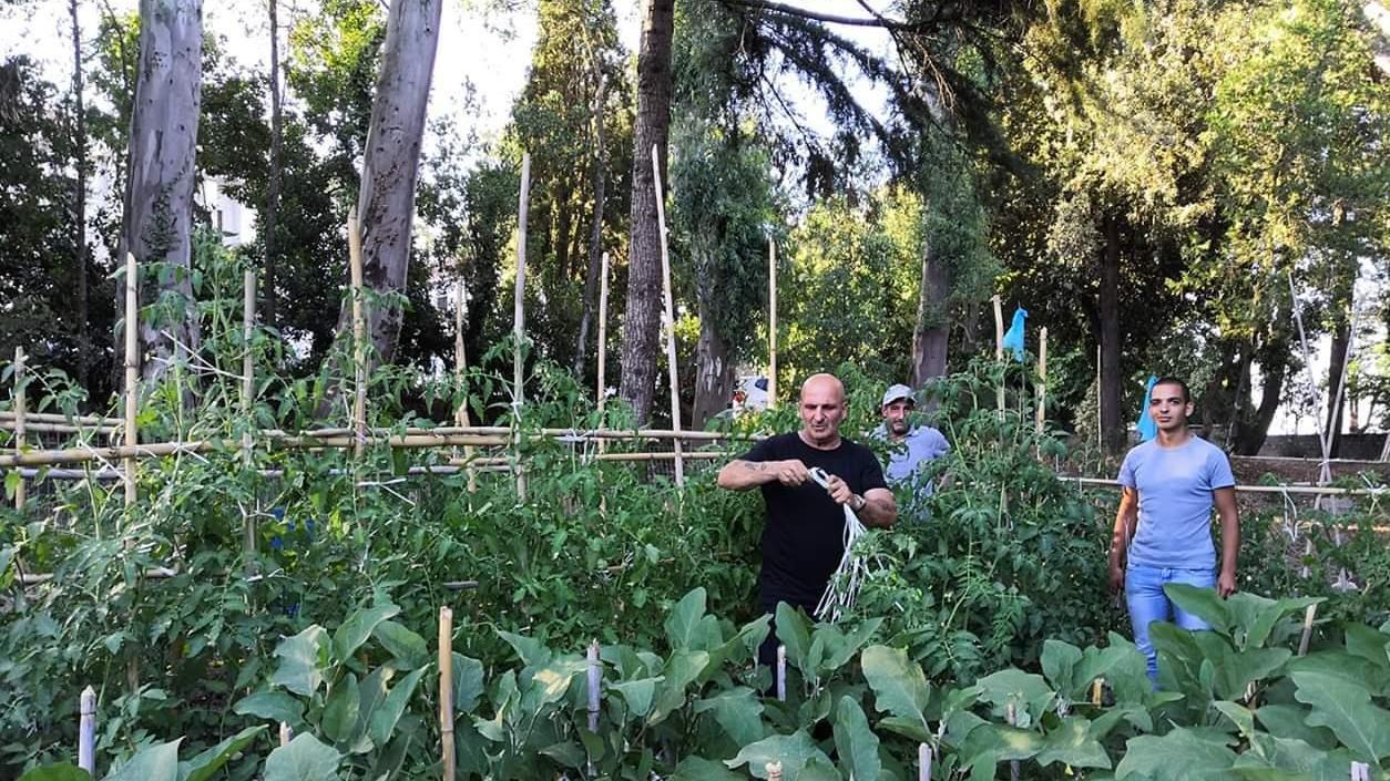 Il successo dell’ortoterapia «Facciamo i cavoli nostri»